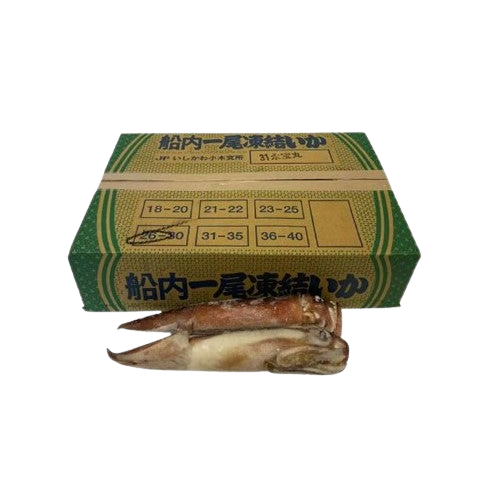 Japanese Flying Squid Frozen Fresh Pacific Squid of Fishing Bait - China  Pacific Squid, Cheap Price Squid