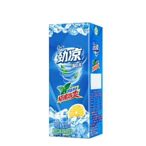 KSF Mint Ice Tea 4pack*box*250ml/Case