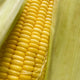 Corn 48ct/ Case