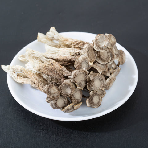 Antler Mushroom 16oz