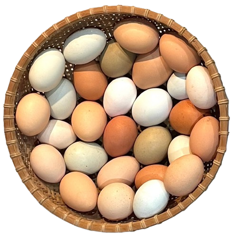 Farm Chicken Eggs 6x 30ct / Case