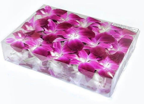Orchid Flower 1 Box