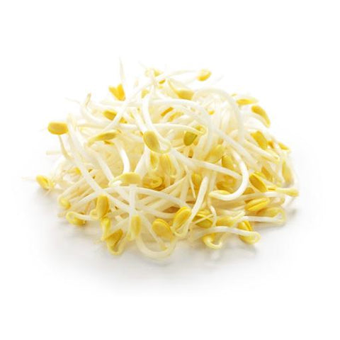 Soybean Sprouts 12 Bag / Case
