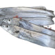 BELT FISH 500-1000G (RIBBON FISH)  / Case