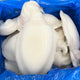 U/1 Cleaned Cuttlefish 1/22LB 30% Glazing 70% N/W / Case