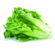 Green Leaf Lettuce / Case