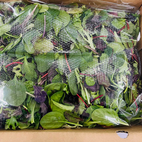 Mesclun 3LB / Case