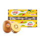 Zespri SunGold Kiwifruit 18-22 ct / Case