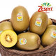 Zespri SunGold Kiwifruit 18-22 ct / Case