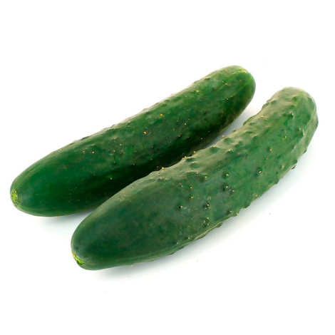 Short Cucumber /Case