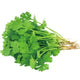 Cilantro /Case