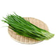 Chives /Case